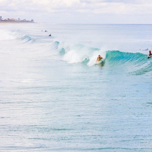 Surf's Up