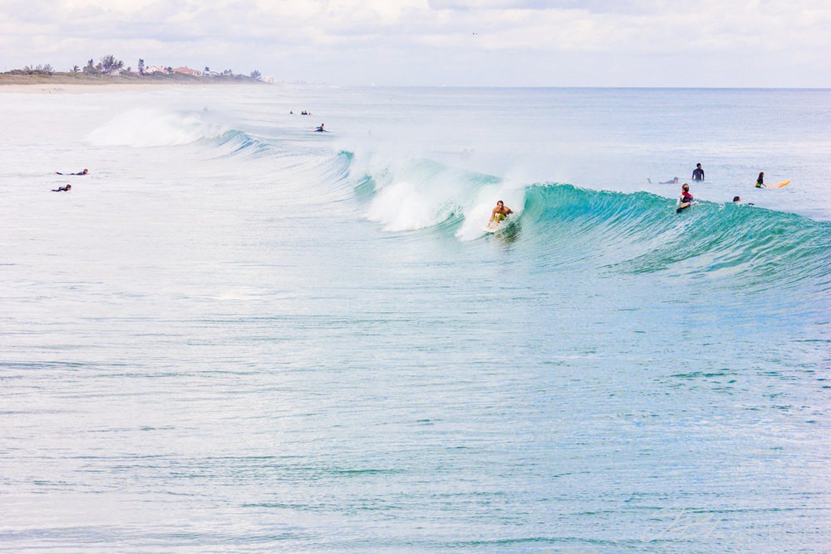 Surf's Up