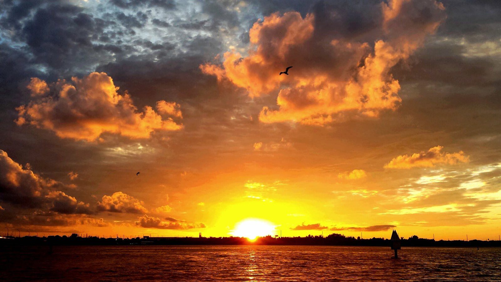 Indian River Lagoon