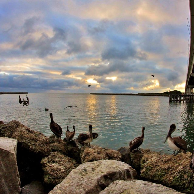 Sebastian Inlet