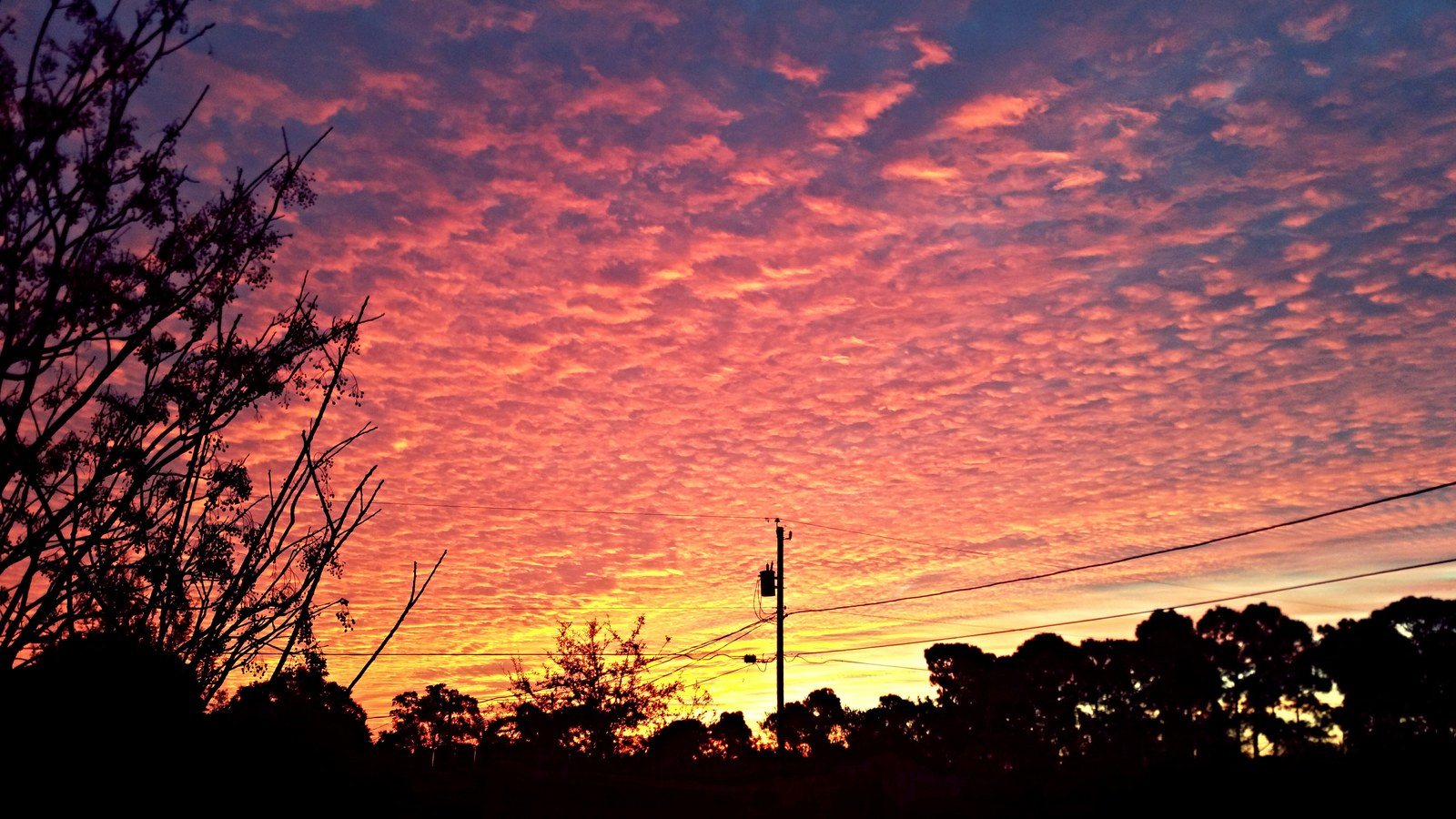 Pink Stratus