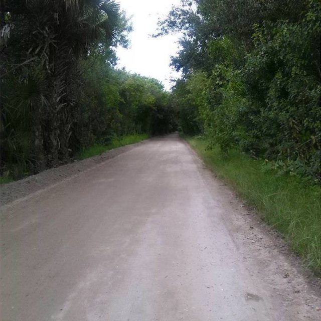 Jungle Trail