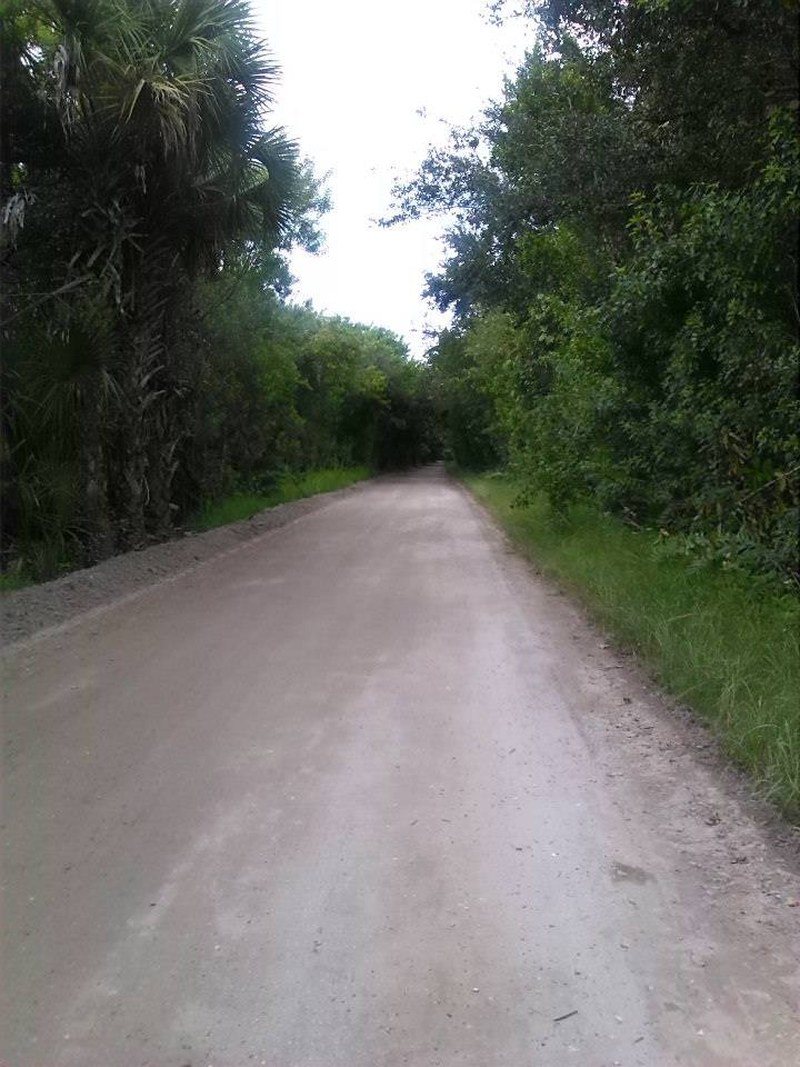 Jungle Trail