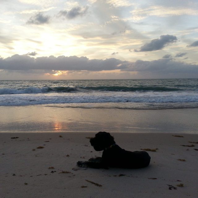 Daybreak In Atlantis