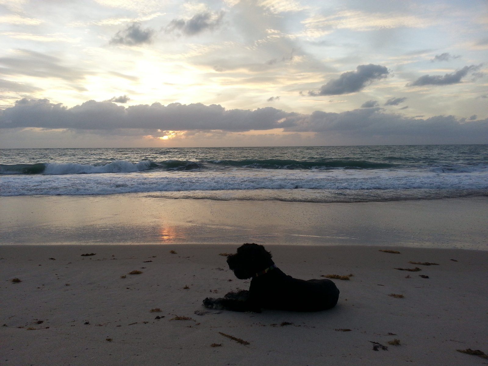 Daybreak In Atlantis