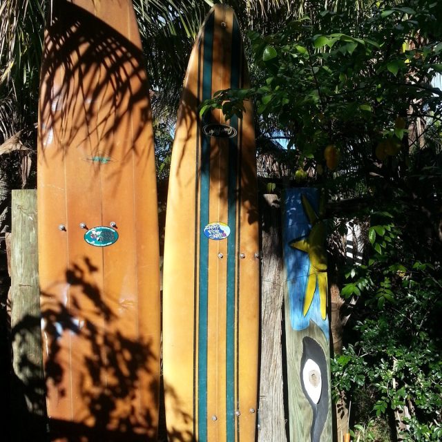 Bibble Boards