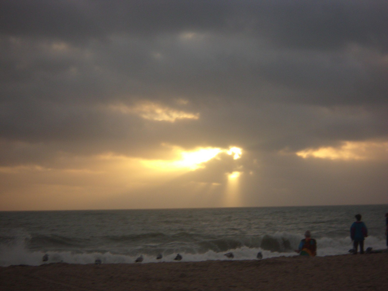 Birds And Humans Align The Shore Awaiting Sunrise