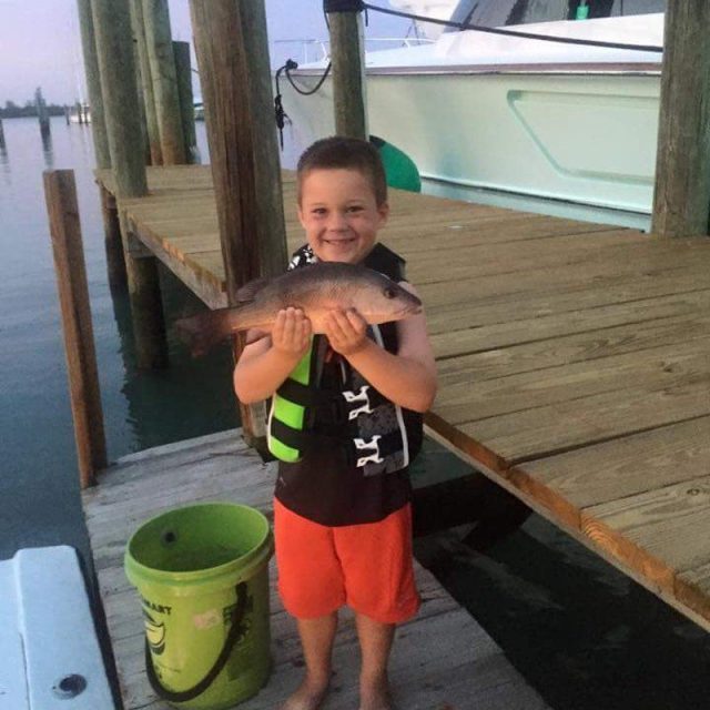 Gavin And His Snapper