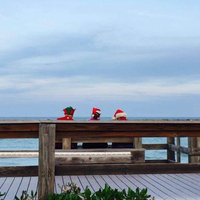 Elves On Vacation