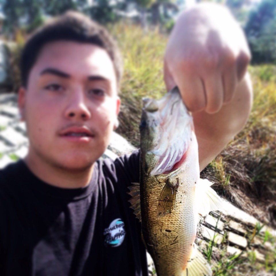 Bass Fishing In The Backyard