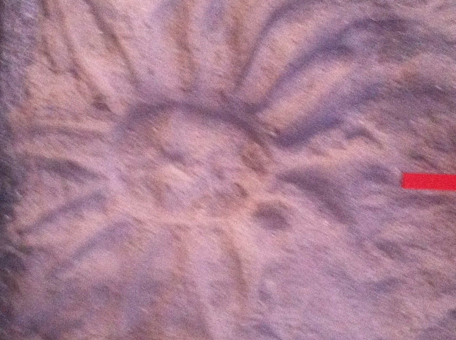 Sand Sculpture