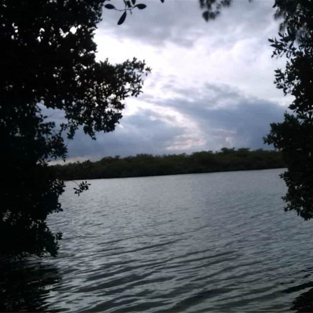 Pelican Island
