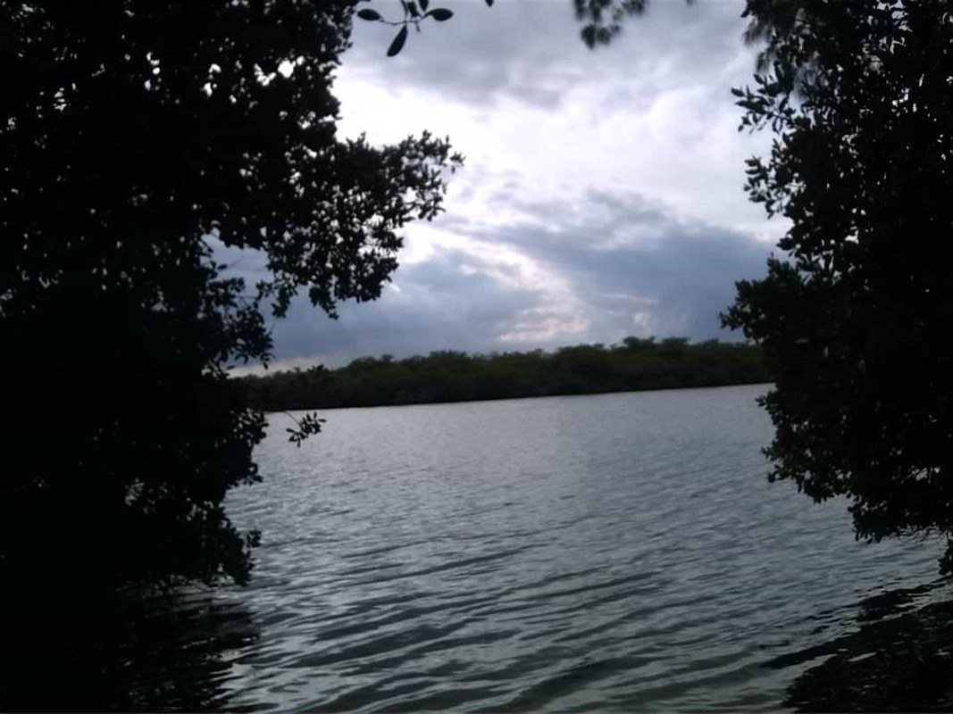Pelican Island