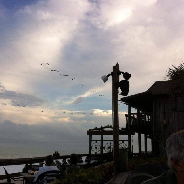 Birds In Flight At Waldo's