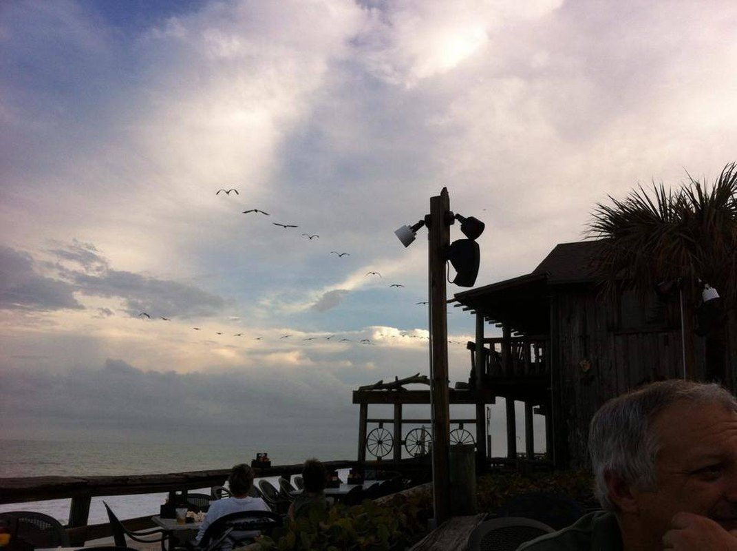 Birds In Flight At Waldo's