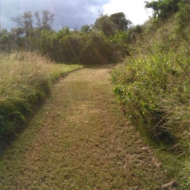 Rays From Heaven At Pelican Island