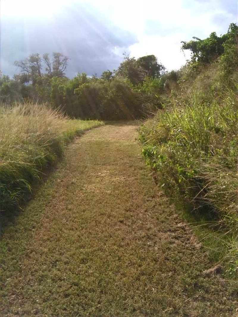 Rays From Heaven At Pelican Island