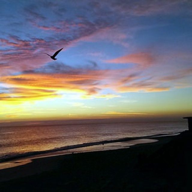 Beautiful Morning