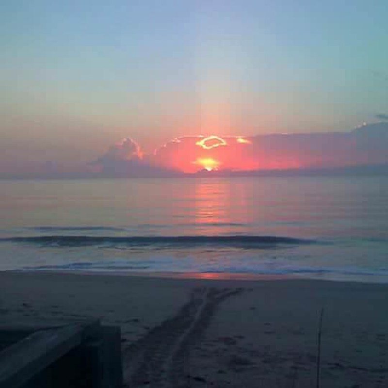 Turtle Tracks Sunrise