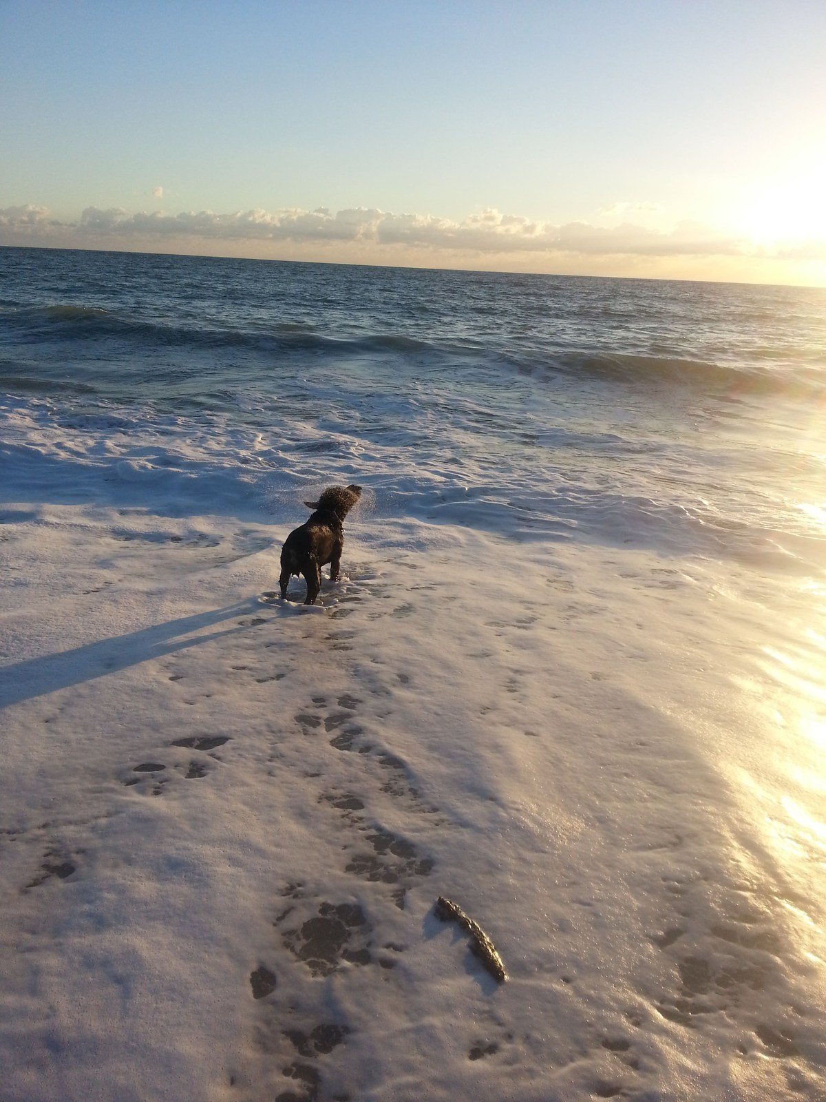 Where's The Stick?!