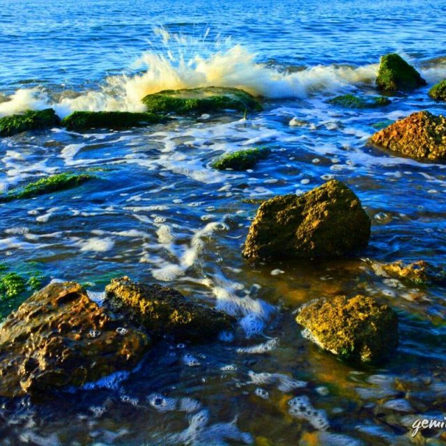 Wave After Wave