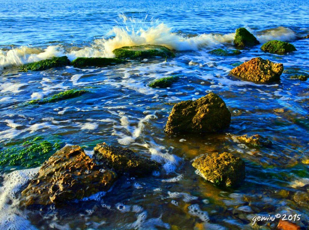 Wave After Wave