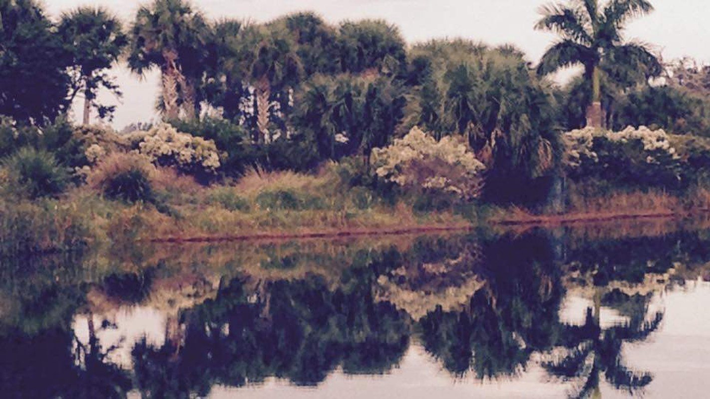 "Jungle Trail Bliss"
