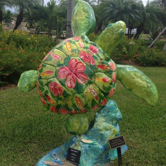 Vero Turtle