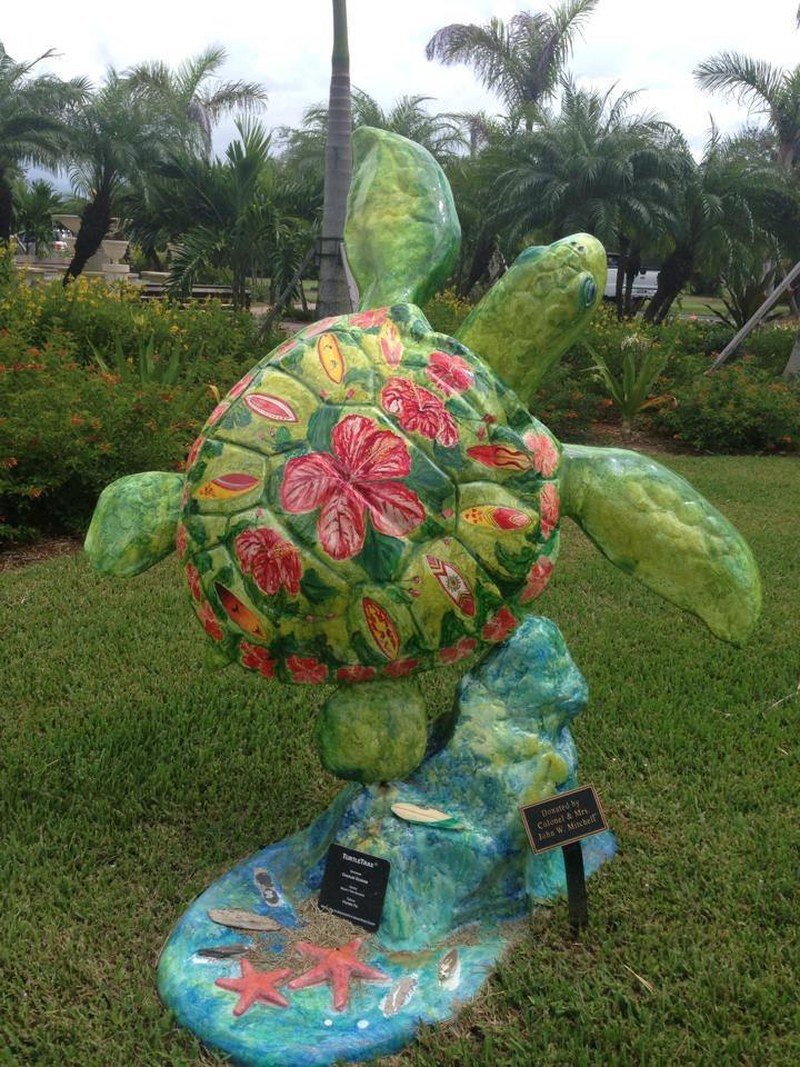 Vero Turtle