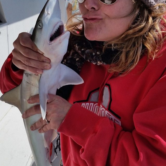 Shark Kisses