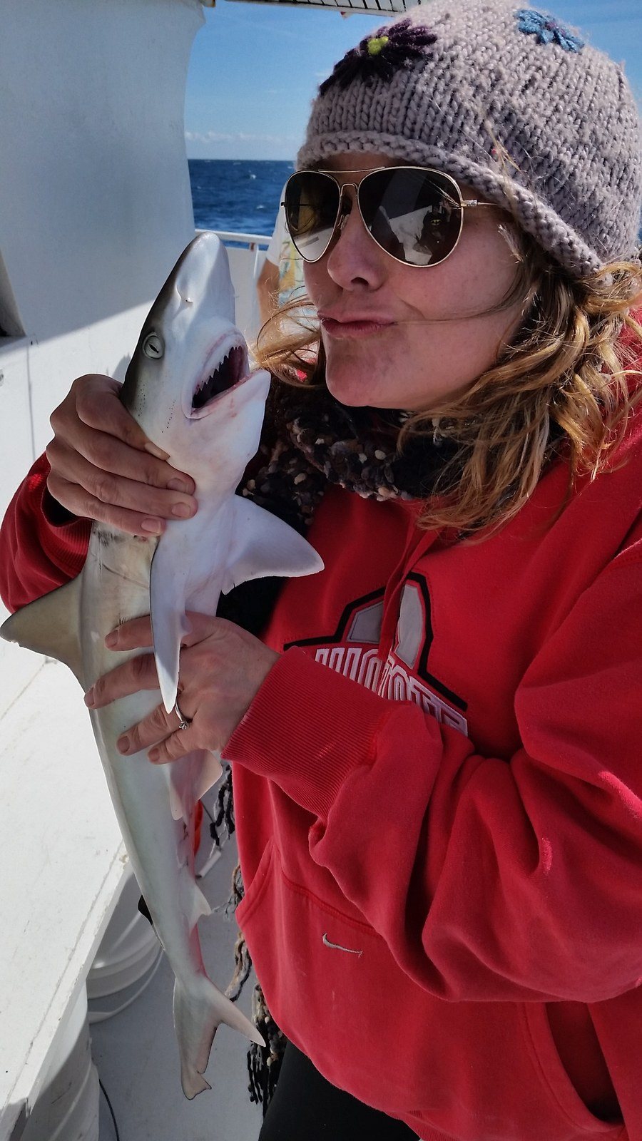 Shark Kisses