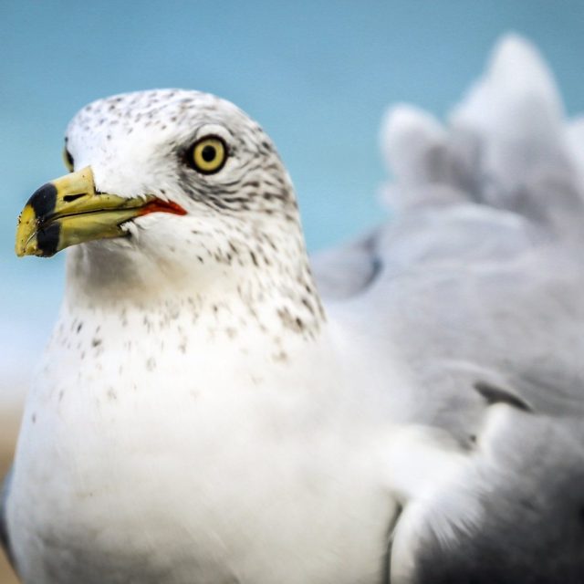 You Talkin' To Me?