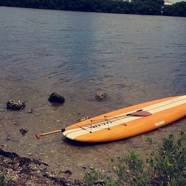 Paddle On