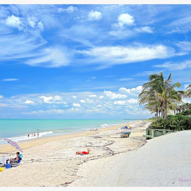 Just Another Day In Paradise