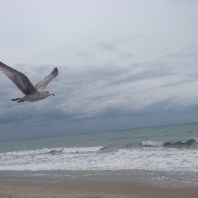 Riding The Storm Out Wabaso Beach