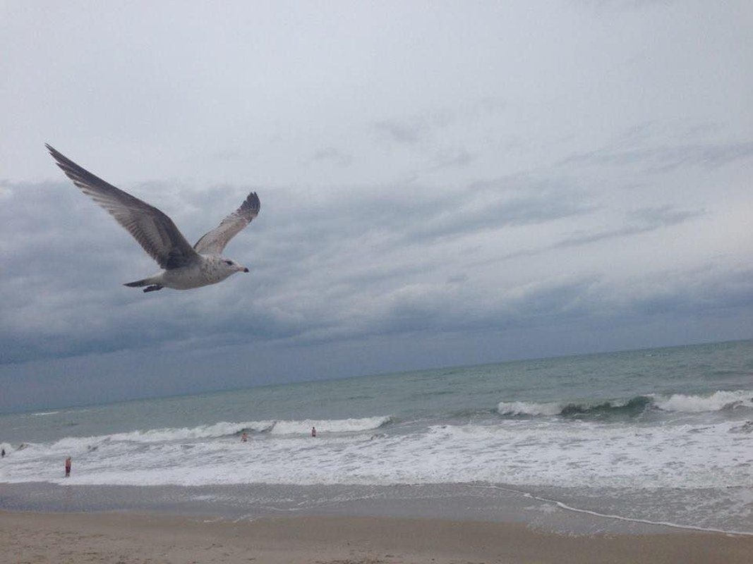 Riding The Storm Out Wabaso Beach