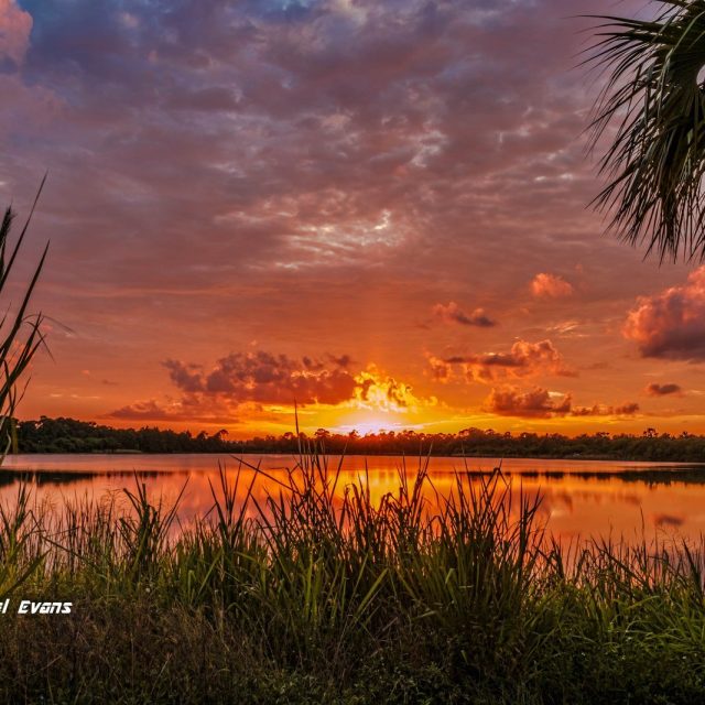 Pristine Florida Sunset