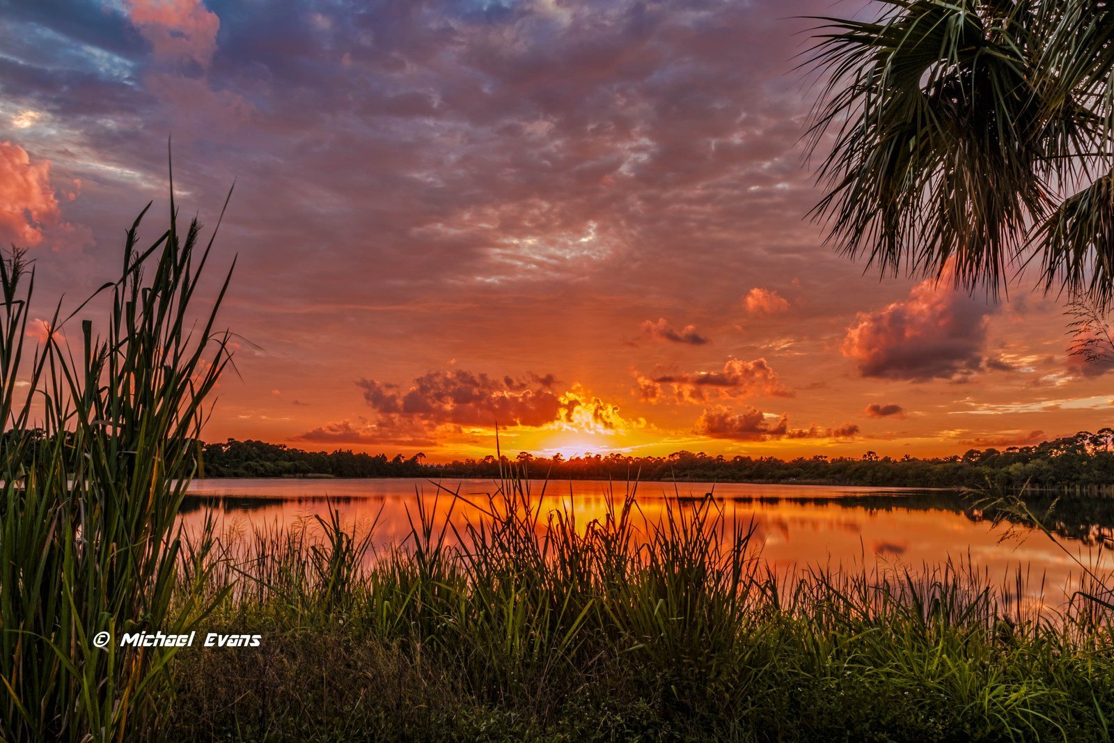 Pristine Florida Sunset