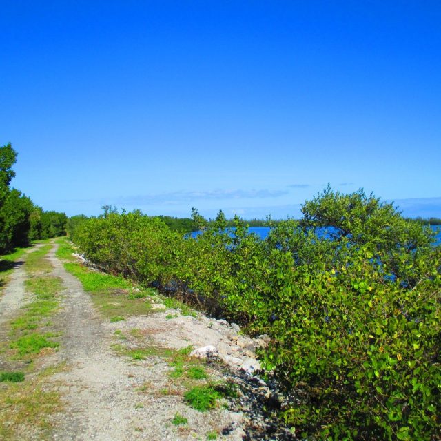Take A Walk Along The Indian River