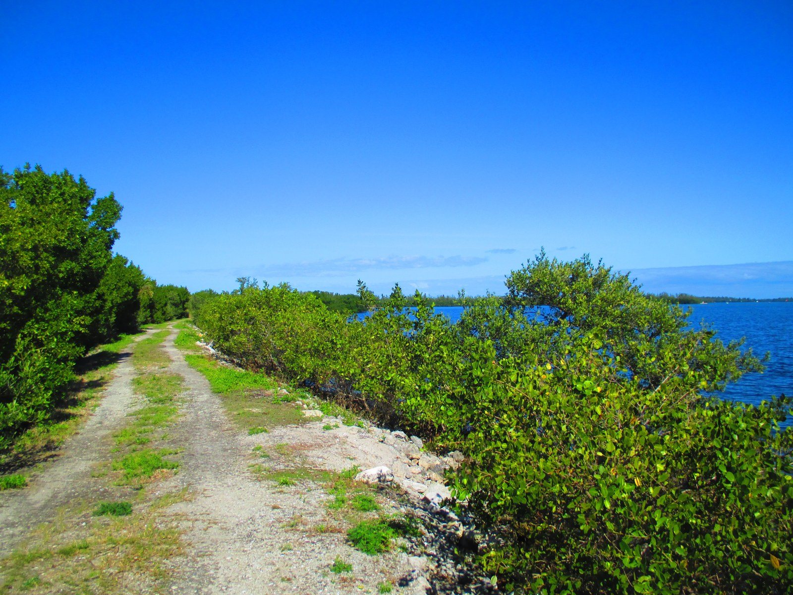 Take A Walk Along The Indian River