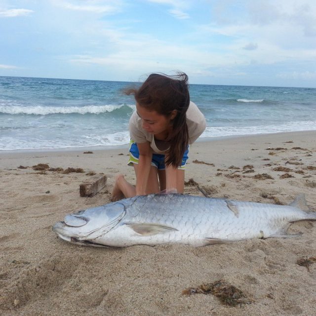 Tarpon Ton