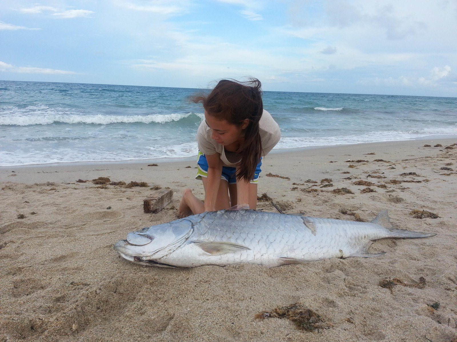 Tarpon Ton