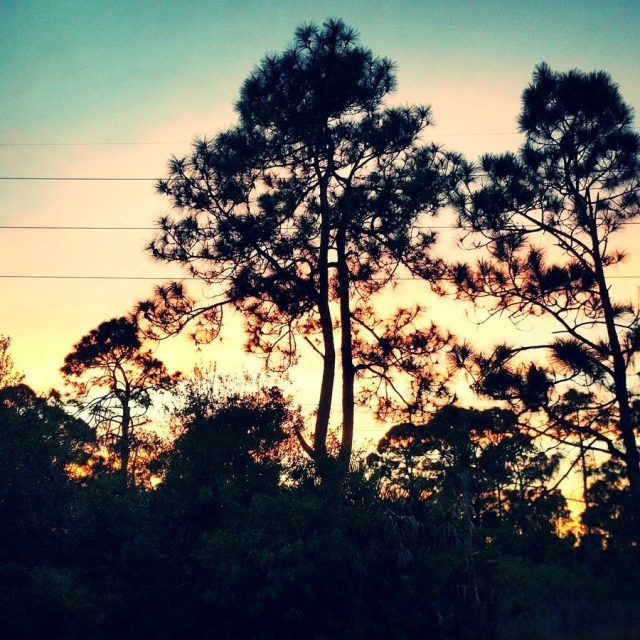 Parkview Sunset
