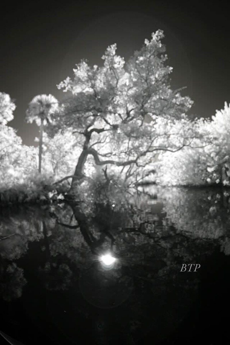 Midnight Day