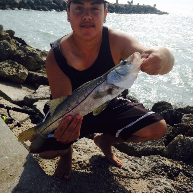 Snook At The Ft. Pierce Jetty