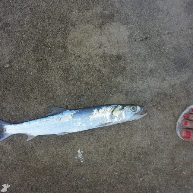 Lady Fishing