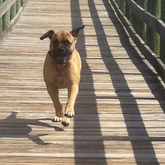 Walkin On Sunshine