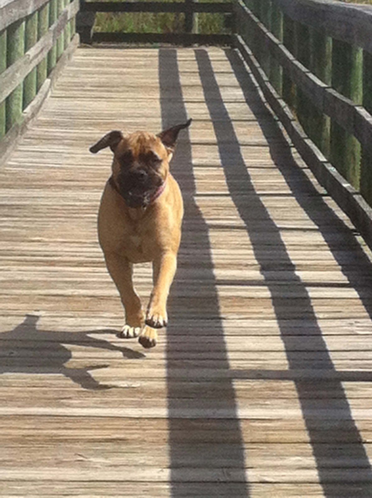 Walkin On Sunshine