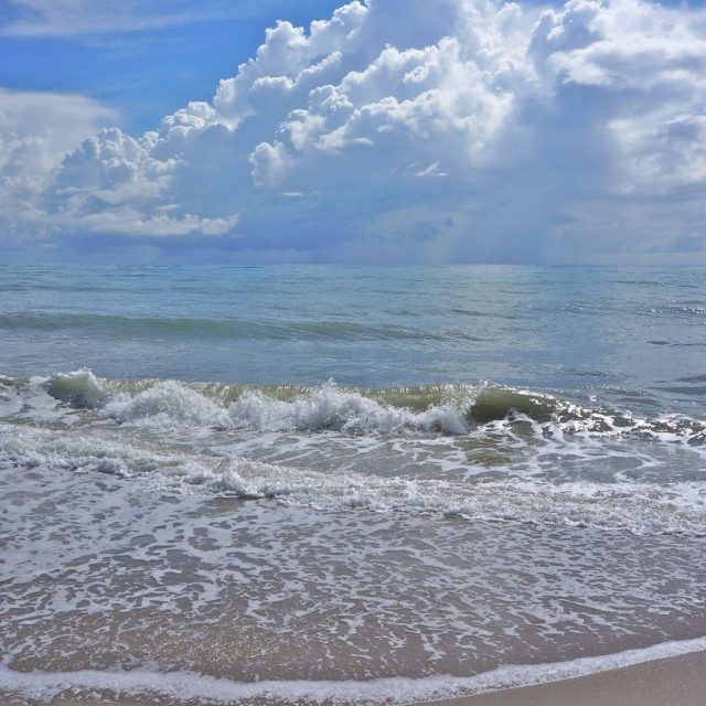 Beach Walk By Gail Dolphin