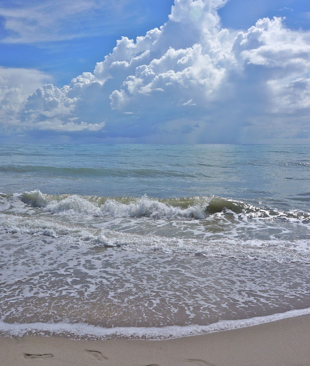 Beach Walk By Gail Dolphin
